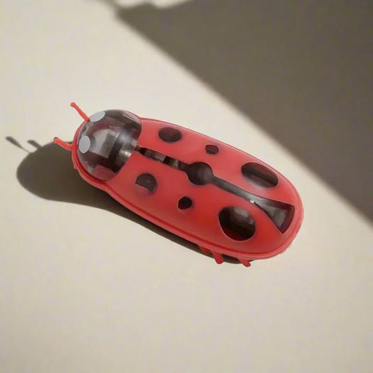 MiniInsecteToy™ - Coccinelles - Jeu Félin